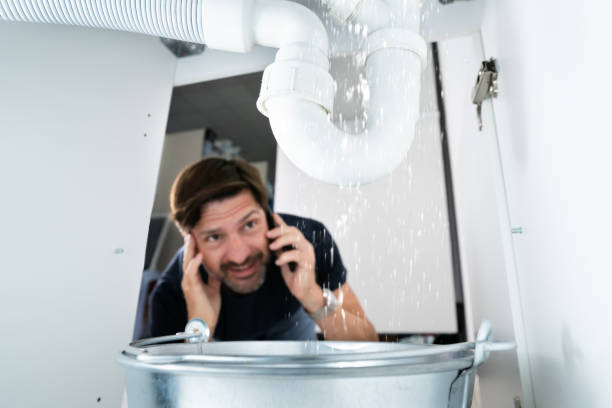 Best Septic Systems  in Hammond, WI