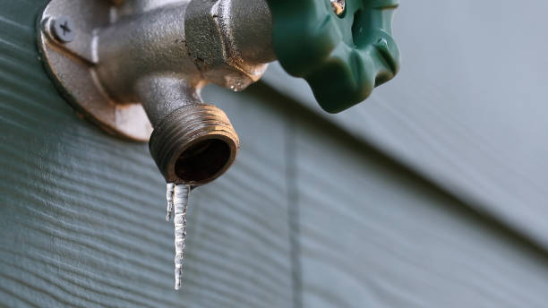Best Plumbing Inspection Services  in Hammond, WI